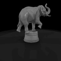 cir-111-animal-circus-elephant-on-tub — thumbnail 5