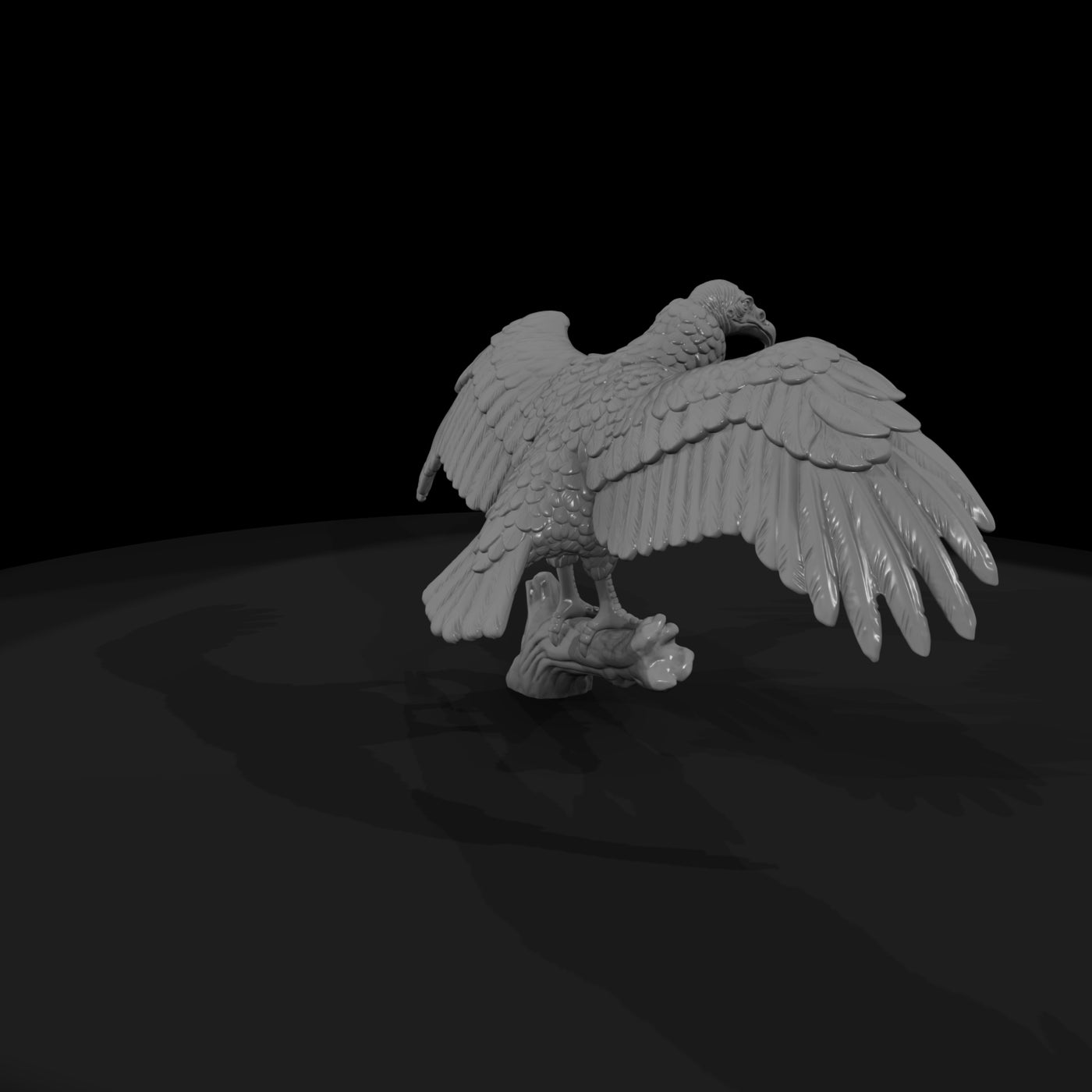 ww-0344-animal-turkey-vulture