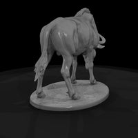 ant-226-blue-wildebeest-male — thumbnail 5