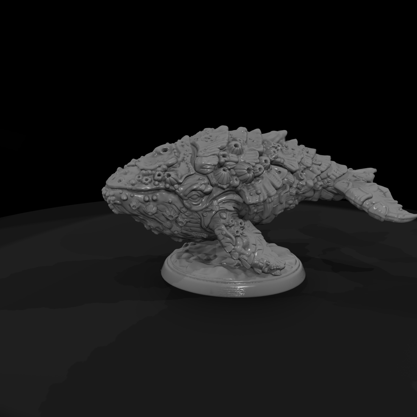 Creature Barnacle Hide Whale Calf