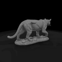 ant-145-cougar-male — thumbnail 5