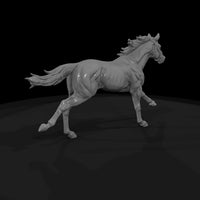 ww-0286-animal-galloping-horse — thumbnail 5