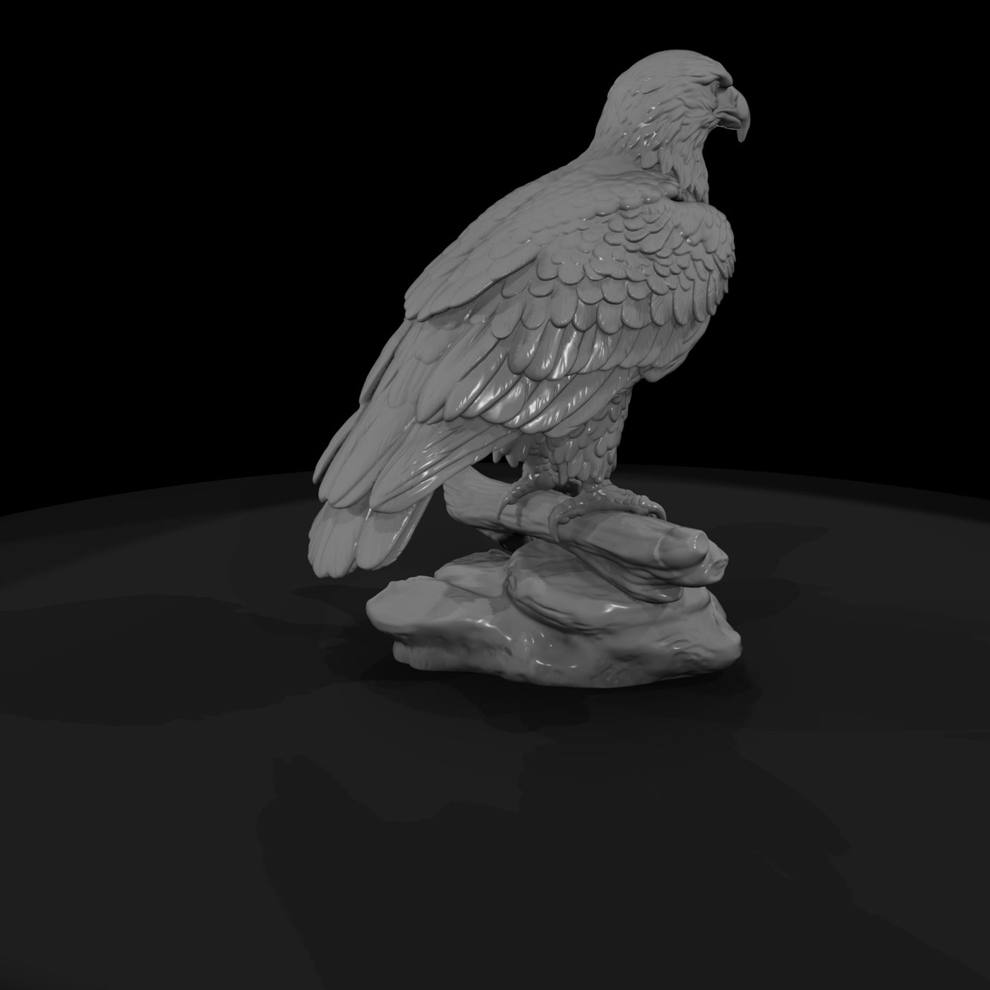 ant-112-bald-eagle-male