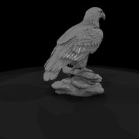 ant-112-bald-eagle-male — thumbnail 5