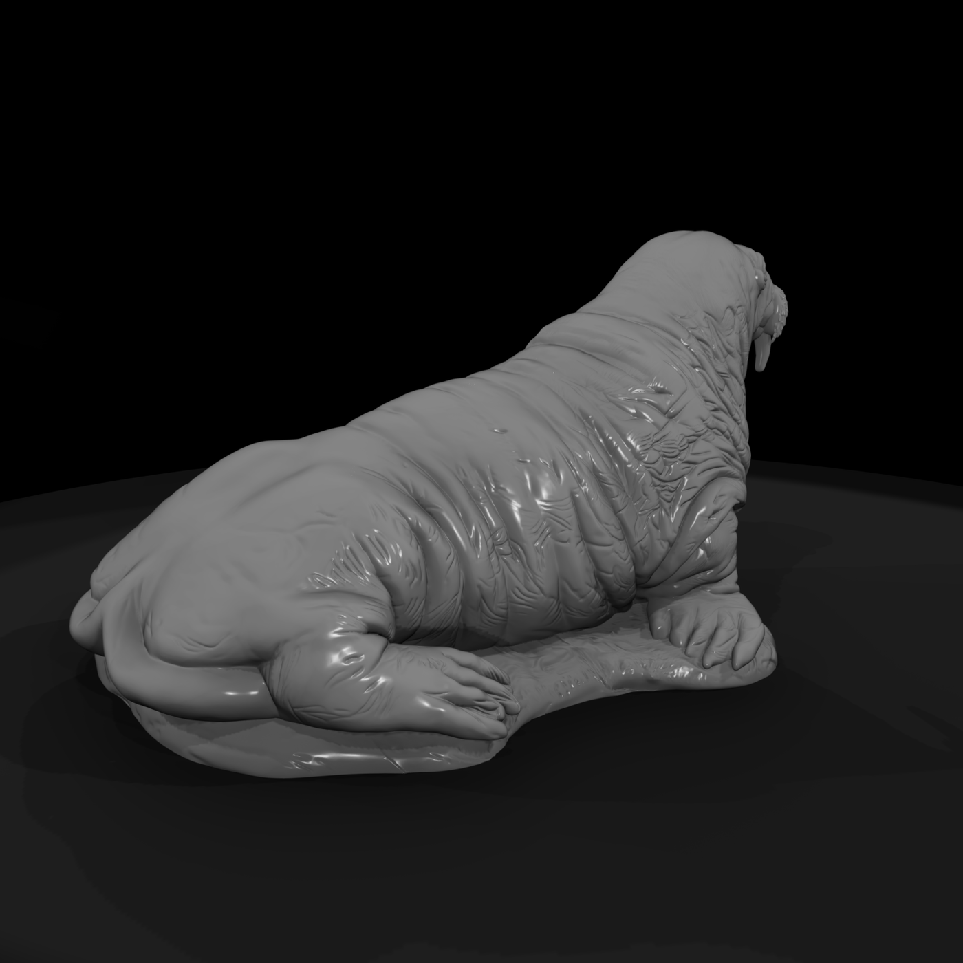 Ant 143 Walrus Female