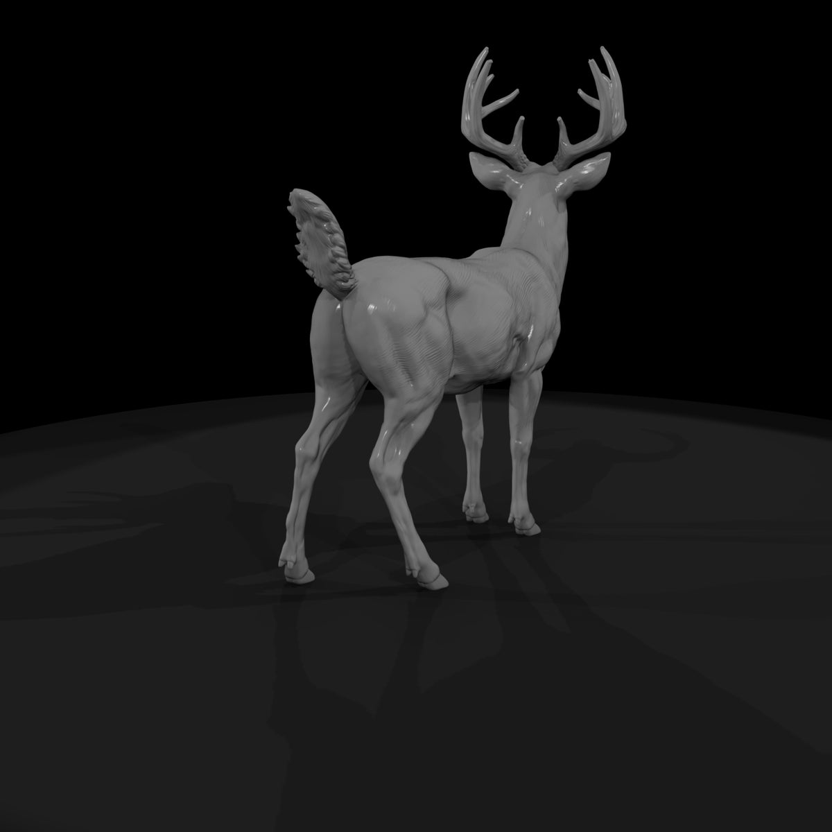 ant-070-white-tailed-deer-male