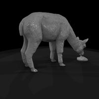 ant-221-alpaca-female — thumbnail 5