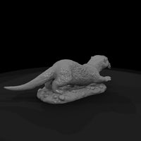 ant-183-river-otter-adolescent — thumbnail 5
