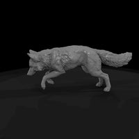ant-016-red-fox-male — thumbnail 5
