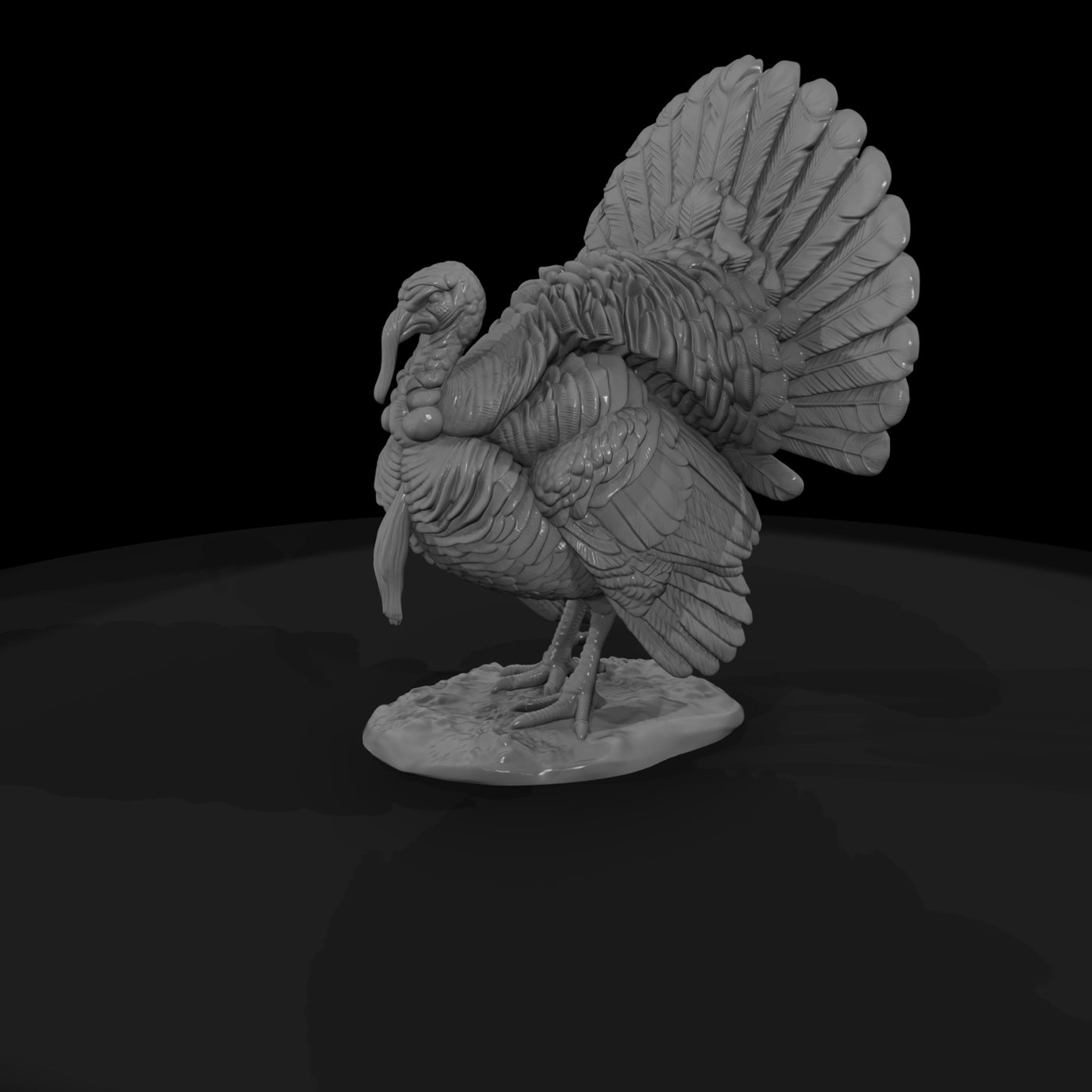 ww-0350-animal-wild-turkey