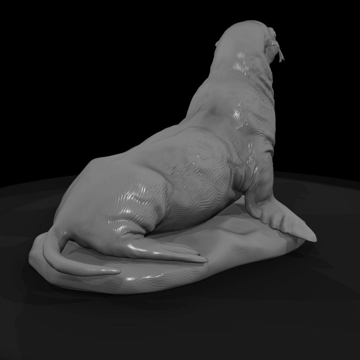 ant-140-sea-lion-female