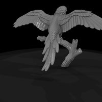 ant-283-scarlet-macaw-male — thumbnail 5