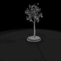 stylized-birch-tree-low-poly-diorama-tree-209959 — thumbnail 6