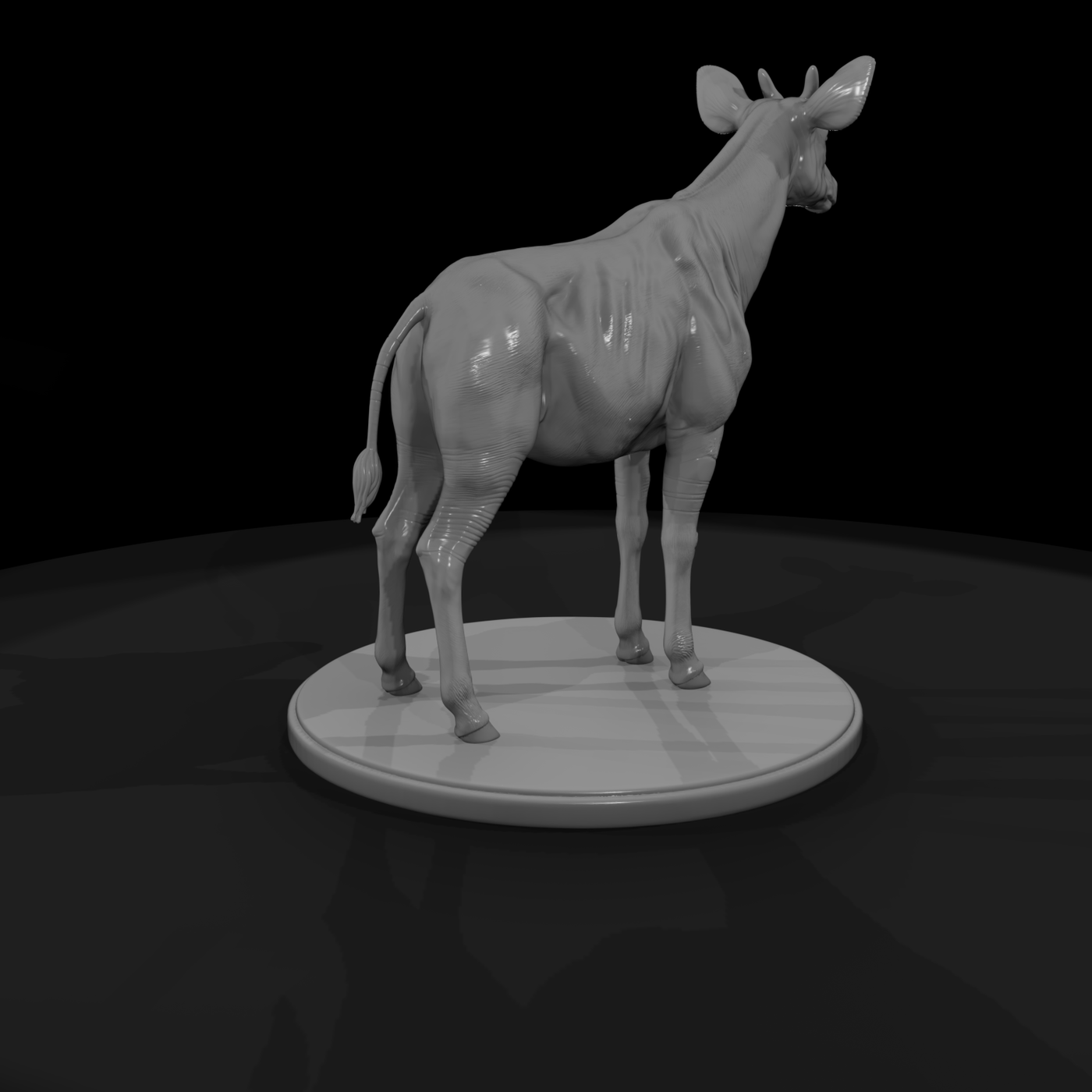Ant 250 Okapi Male