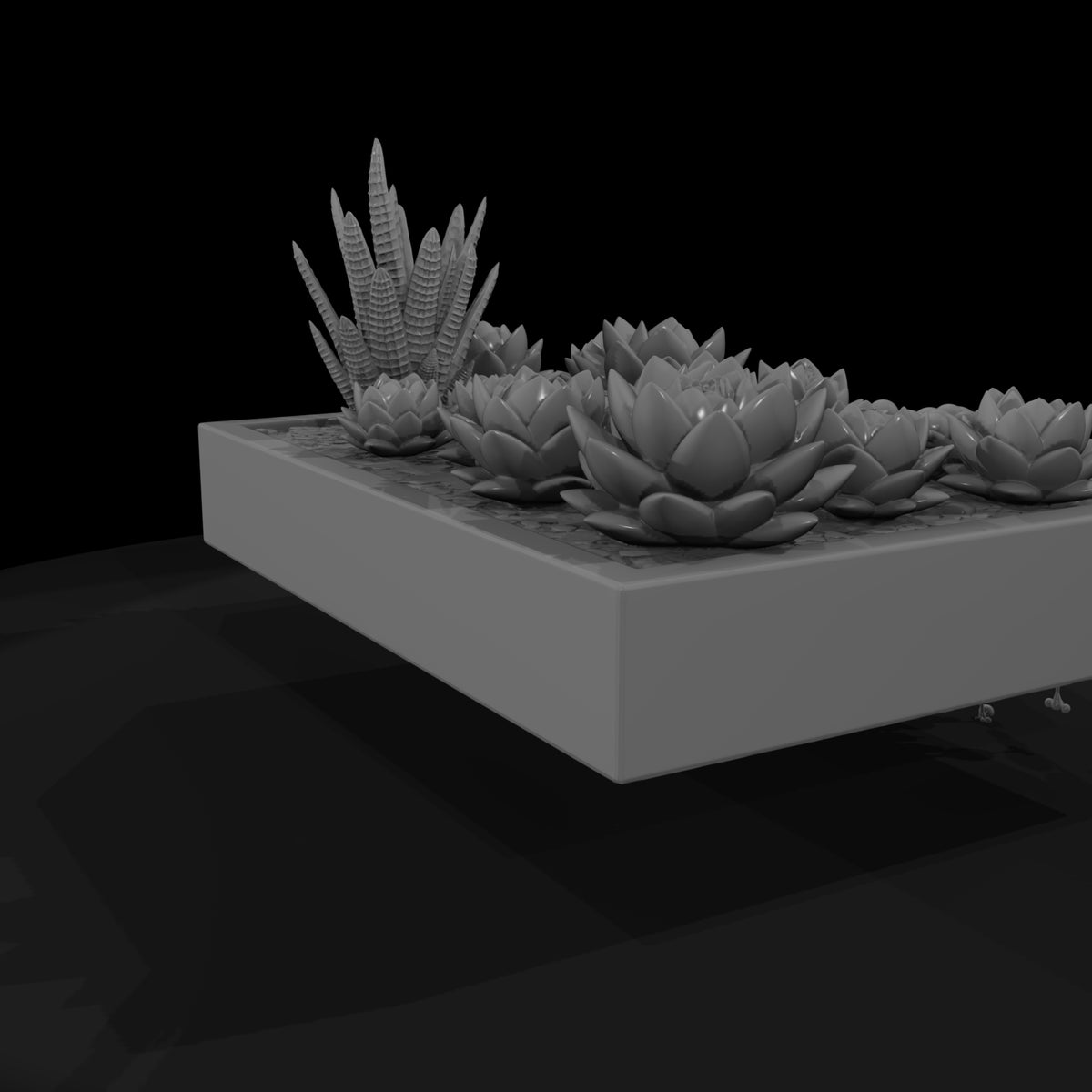 stylized-monochrome-succulent-garden-planter-phnxh