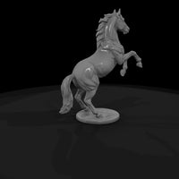 ww-0285-animal-rearing-horse — thumbnail 5