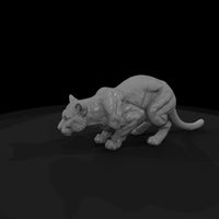 ant-146-cougar-female — thumbnail 5