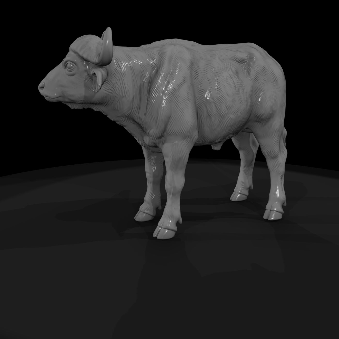 ant-225-cape-buffalo-adolescent