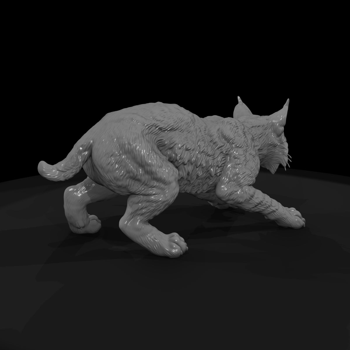 ww-0319-animal-bobcat