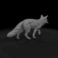 ww-0325-animal-gray-fox — thumbnail 5