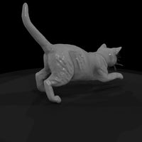 a-collection-of-housecats-kitten-9bb1aa91-meshref — thumbnail 5