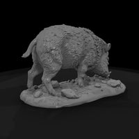 ww-0321-animal-javelina — thumbnail 5