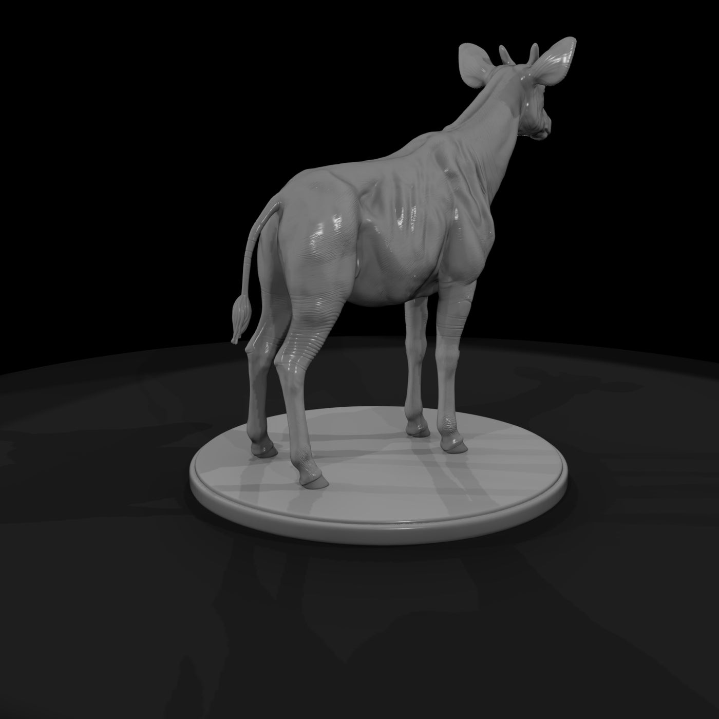 ant-250-okapi-male