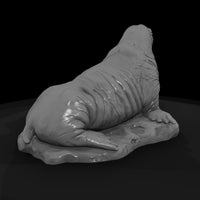 ant-142-walrus-male — thumbnail 5