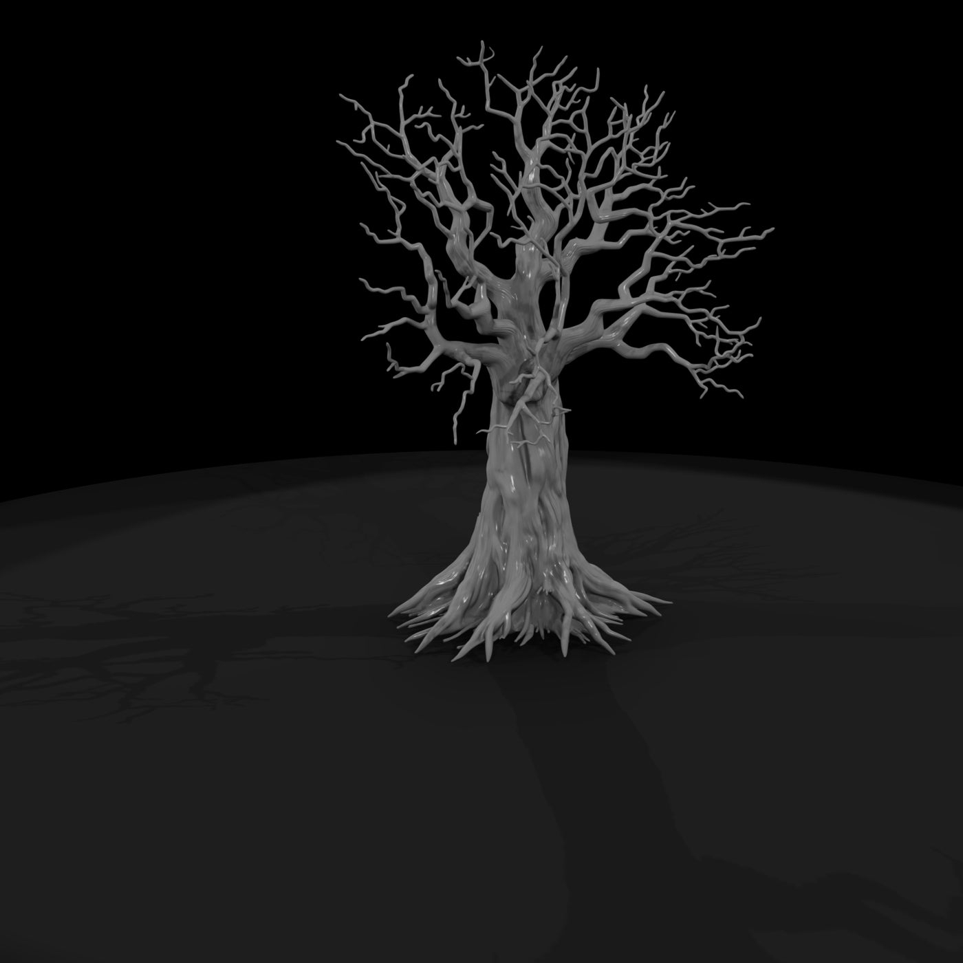 20260612-gnarled-leafless-tree-roots-ed5ca2ae15