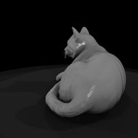 a-collection-of-housecats-polydactyl-da557fdd-mesh — thumbnail 5