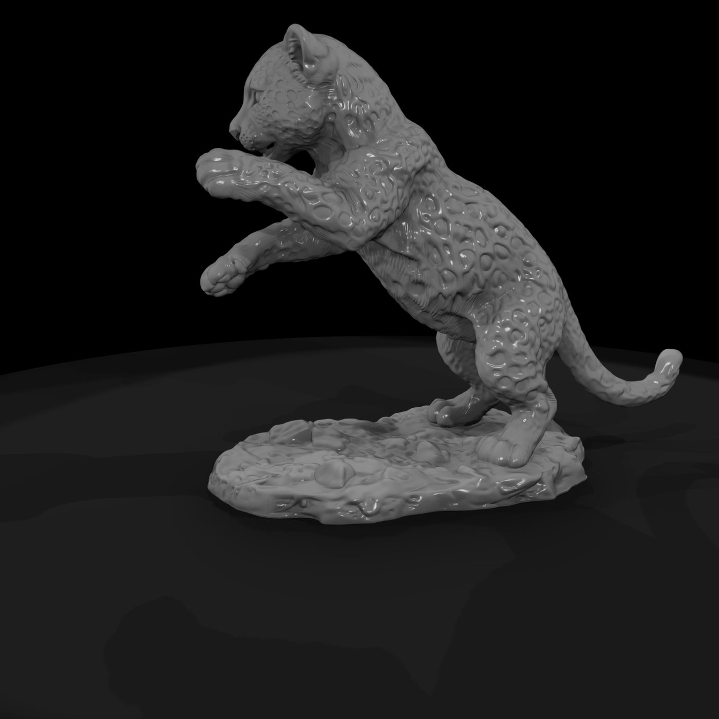 ant-009-leopard-adolescent