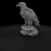 ant-117-golden-eagle-adolescent — thumbnail 5