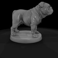 anim-03-bulldog-2c387e — thumbnail 6