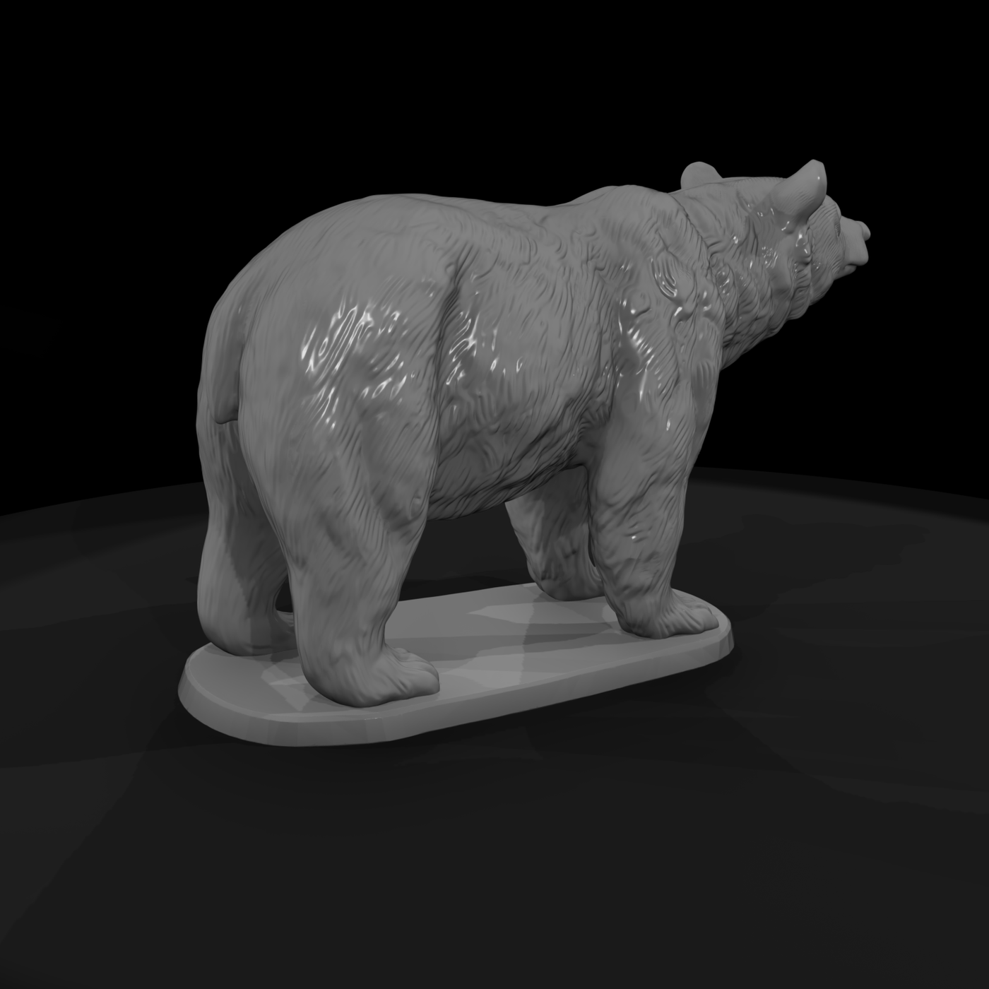Ant 211 American Black Bear Male