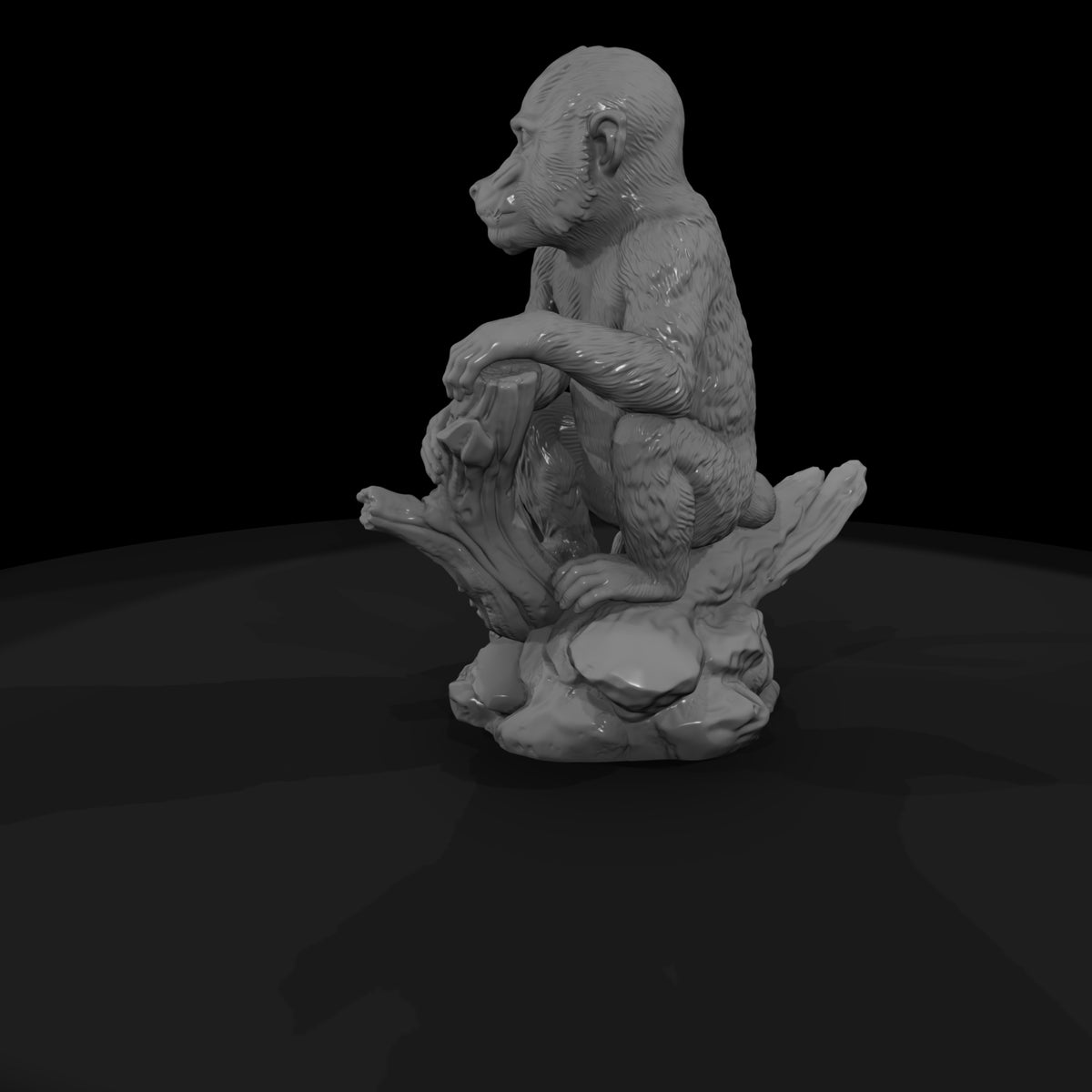 ant-108-mandrill-adolescent