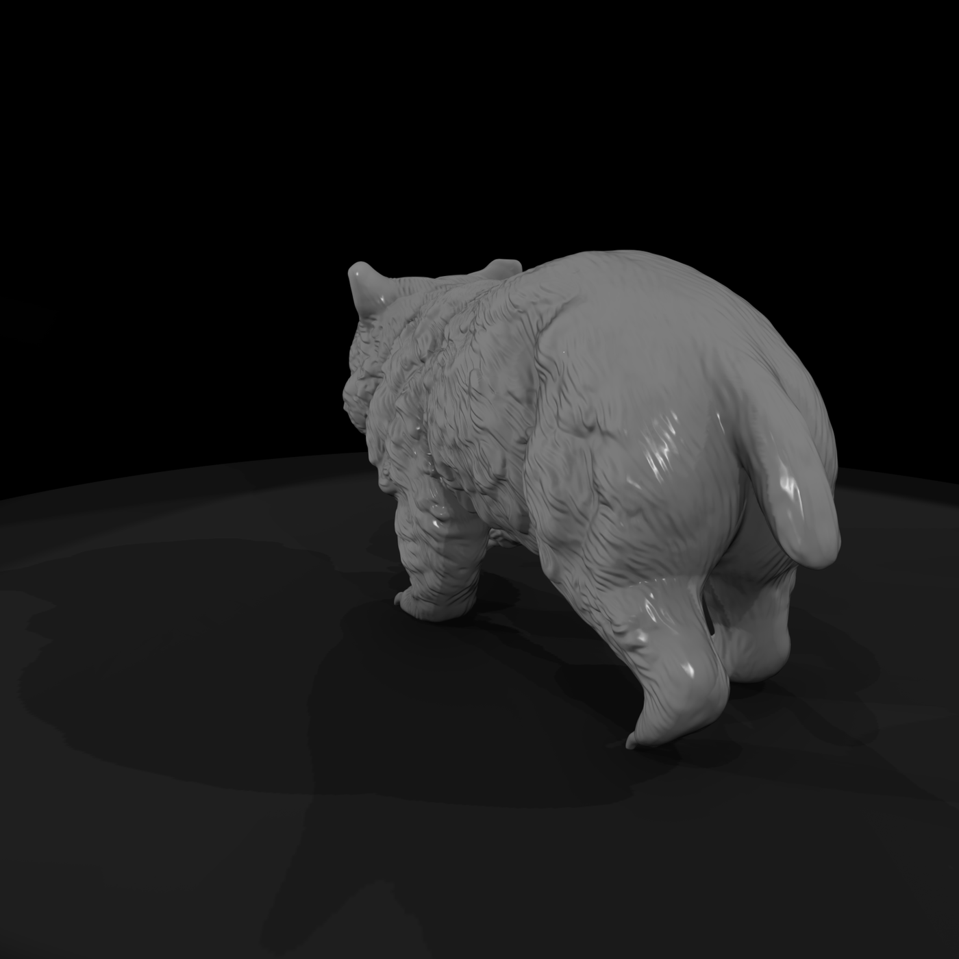 Young Wombat