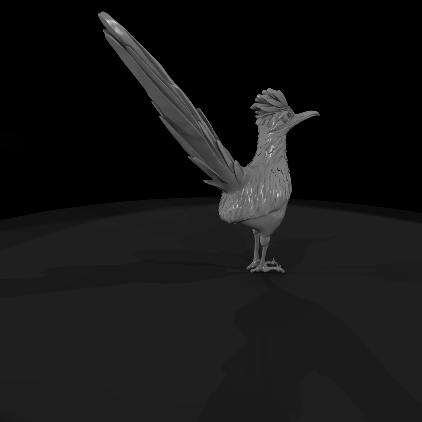 Greater Roadrunner Bird — Accent
