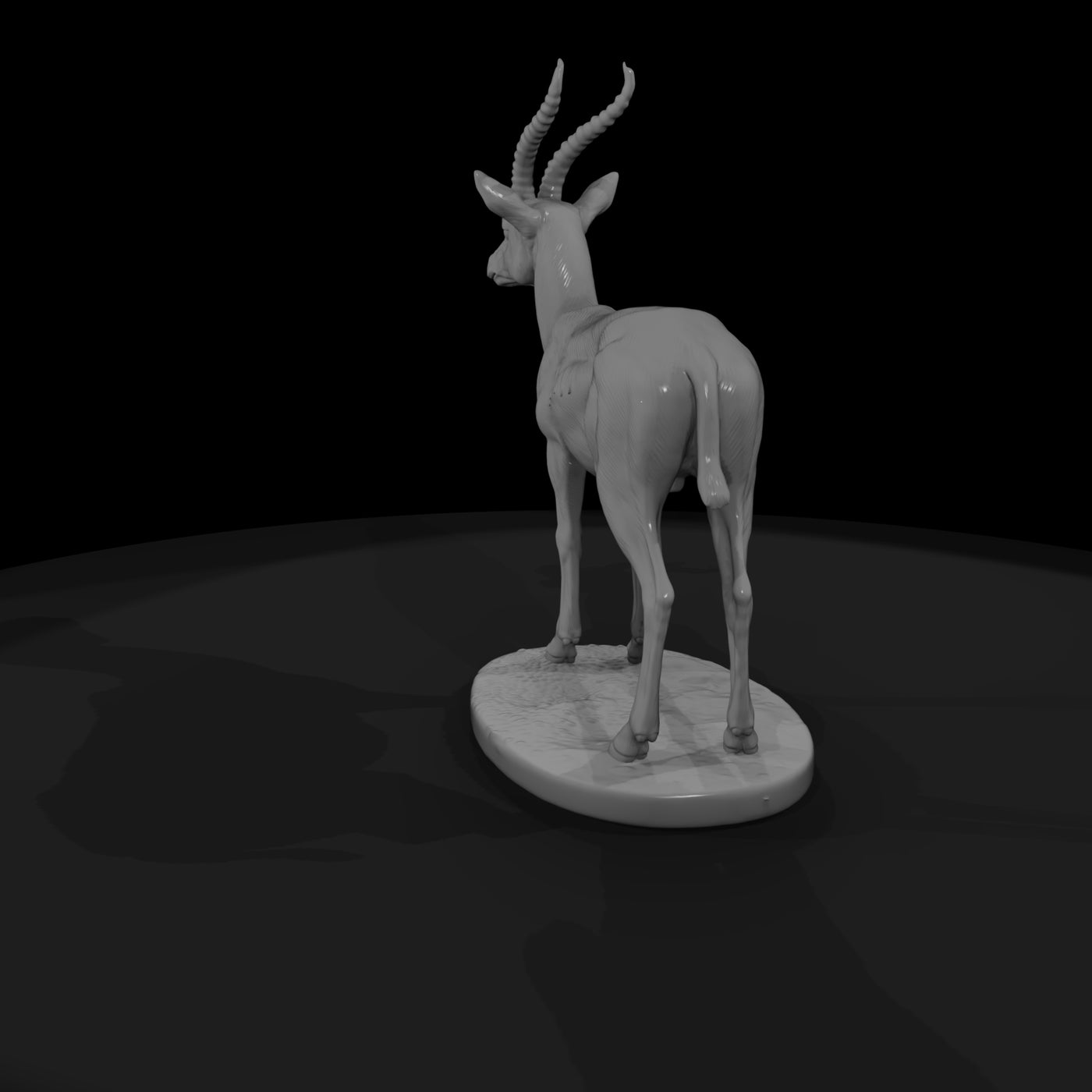 ant-235-thomson-s-gazelle-male