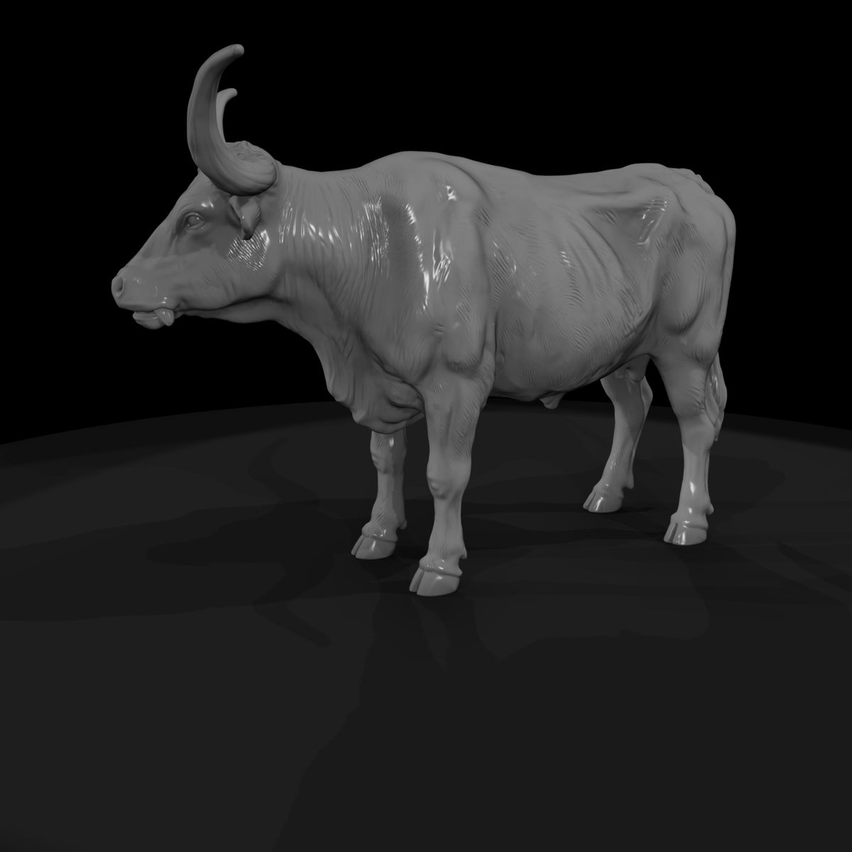 ww-0295-animal-longhorn-cow