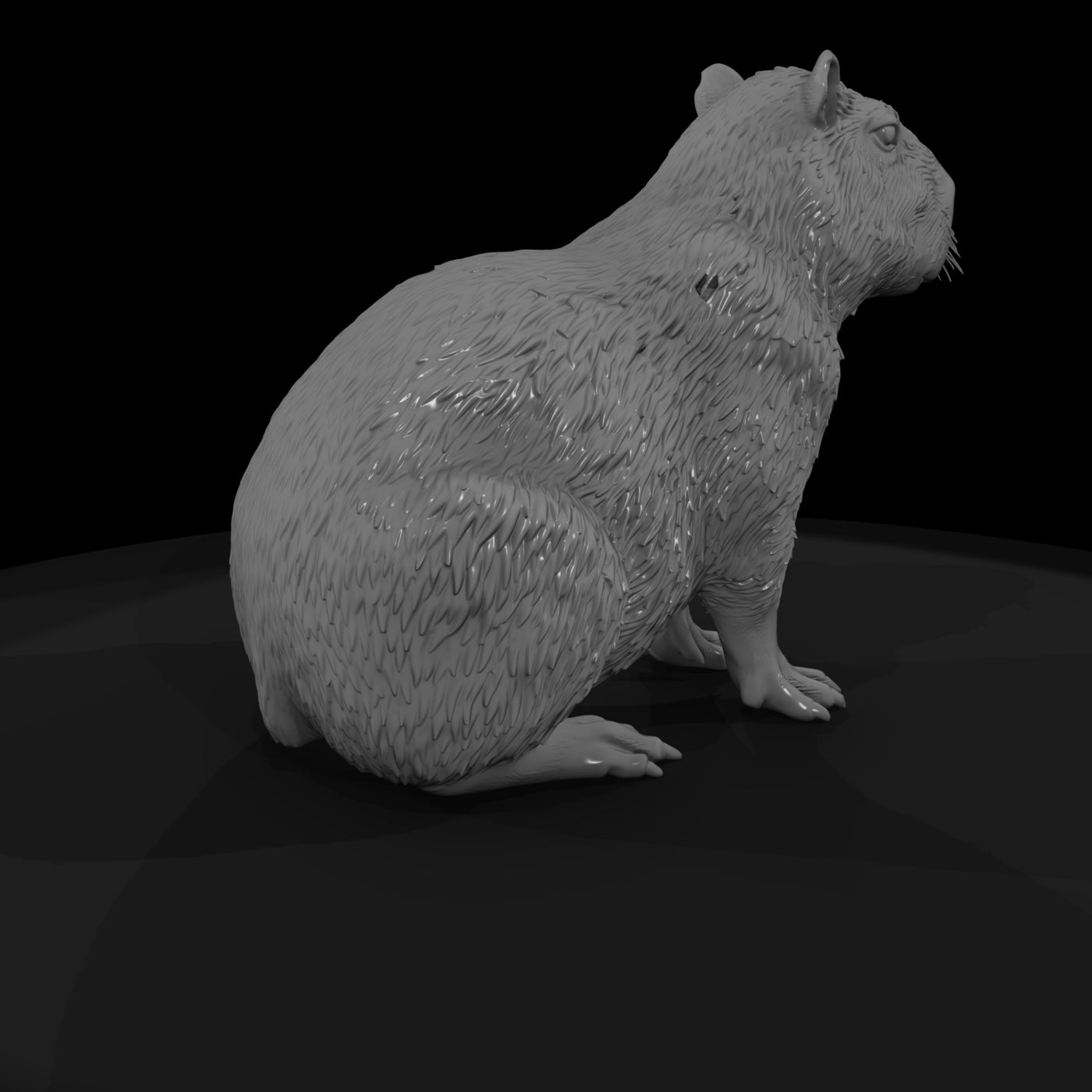ant-256-capybara-male