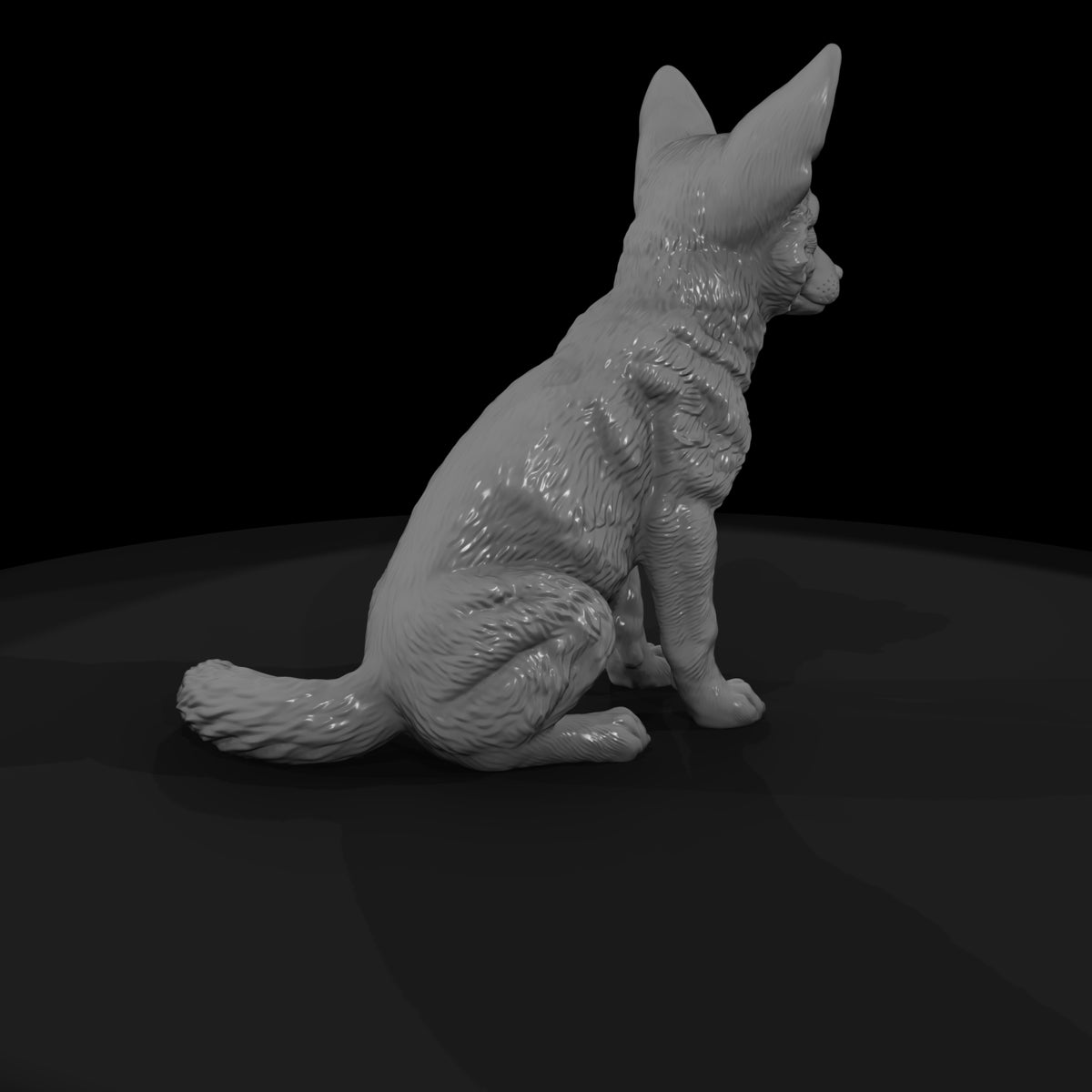 ant-171-coyote-adolescent