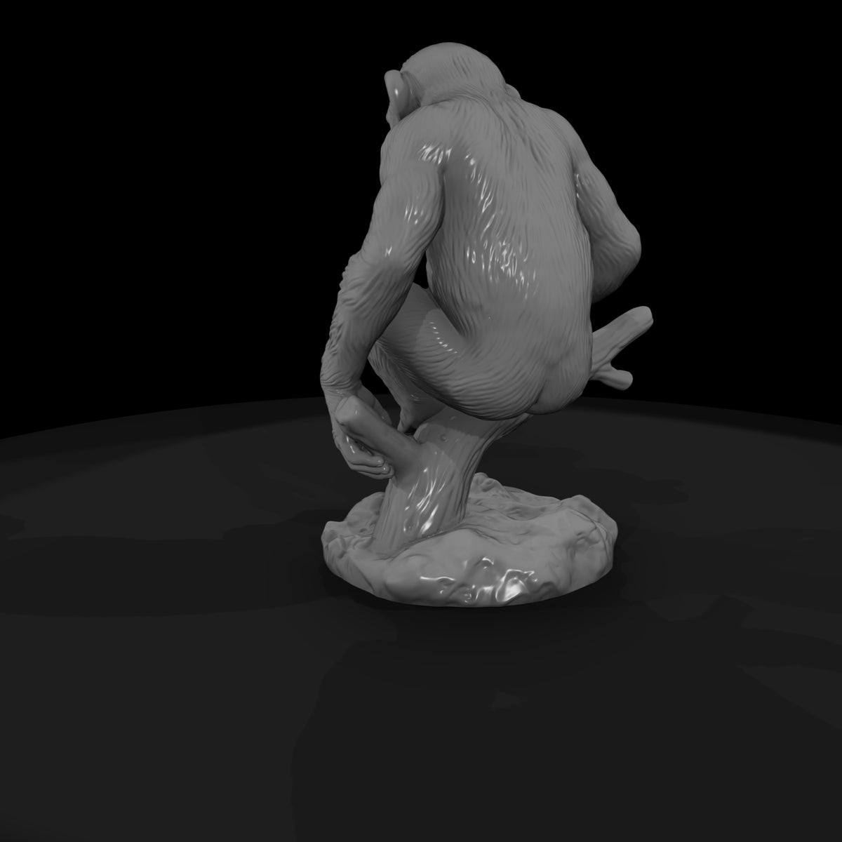 ant-195-chimpanzee-adolescent