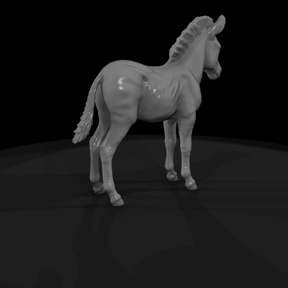 ant-030-plains-zebra-adolescent
