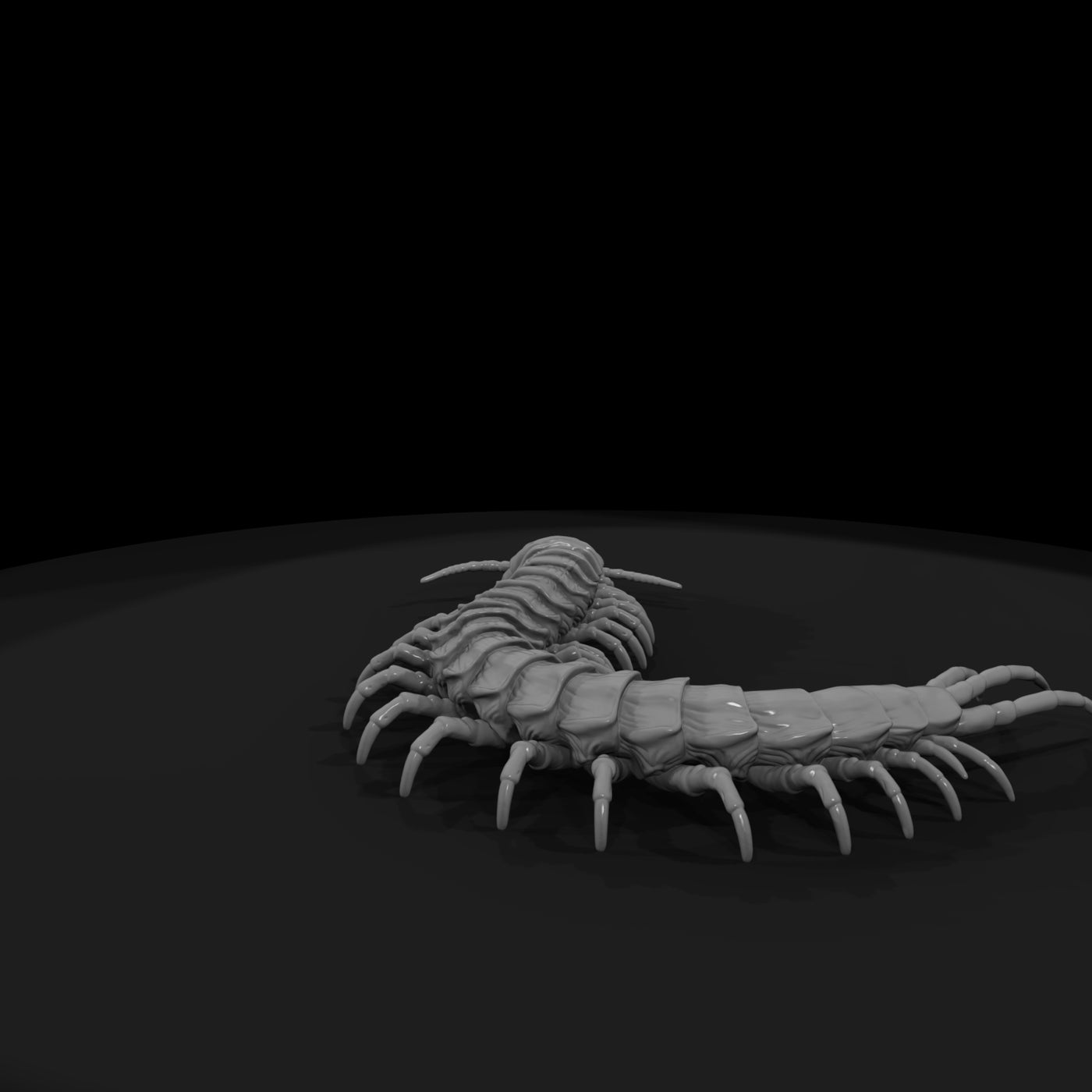ww-0341-animal-giant-centipede