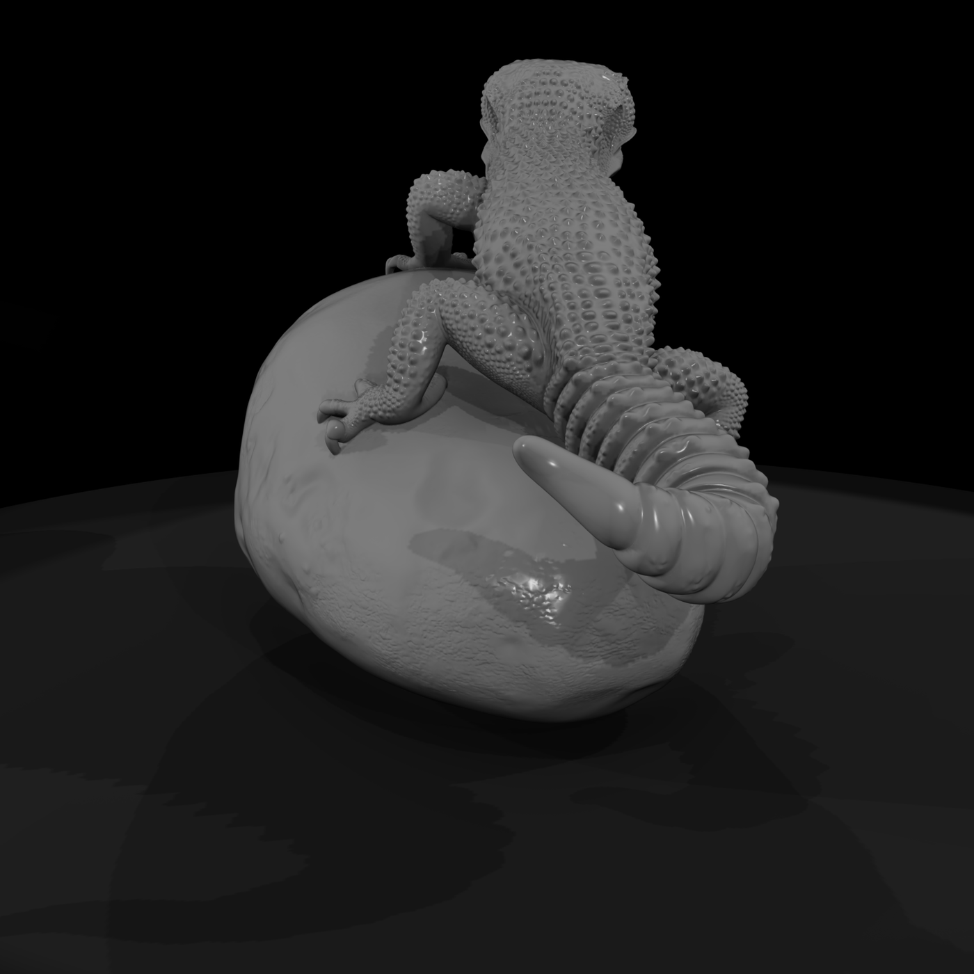 Leopard Gecko on Rock