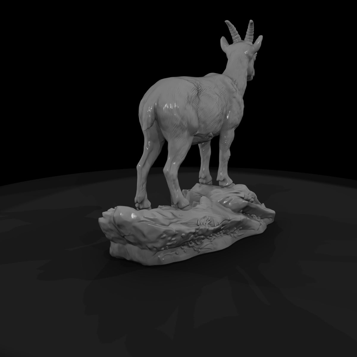 ant-278-alpine-ibex-female