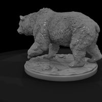 ant-020-grizzly-bear-female — thumbnail 5