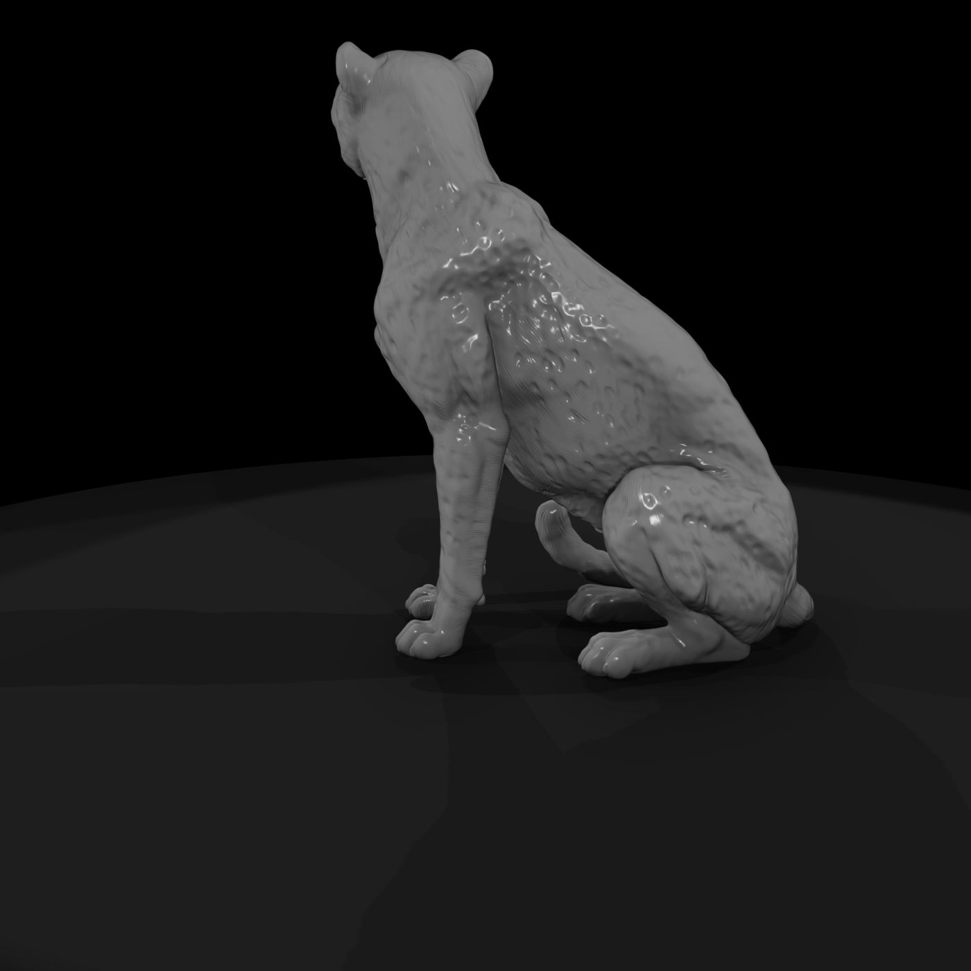 ant-011-cheetah-female