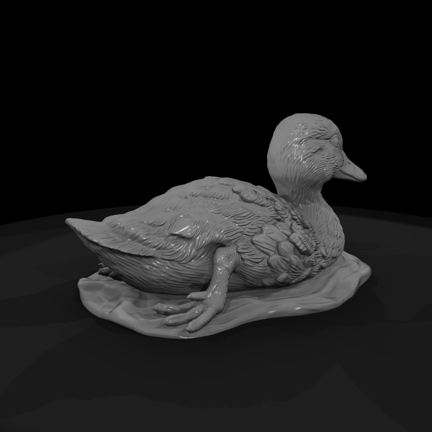 ant-090-mallard-adolescent