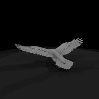 ant-115-golden-eagle-male — thumbnail 5